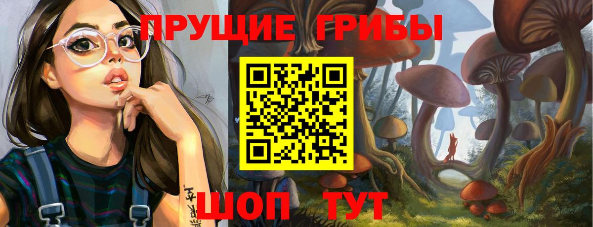Псилоцибиновые грибы Psilocybine cubensis Камышлов