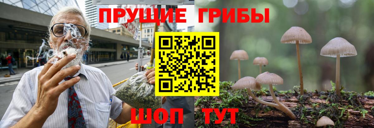 Камышлов  Псилоцибиновые грибы MAGIC MUSHROOMS  Вход с VPN 